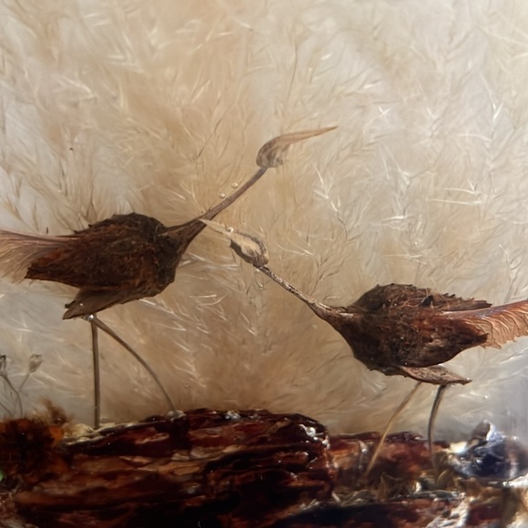 Acrylic nature art scene by Robert & Christull Sheath 1978 - Picture 3 of 11